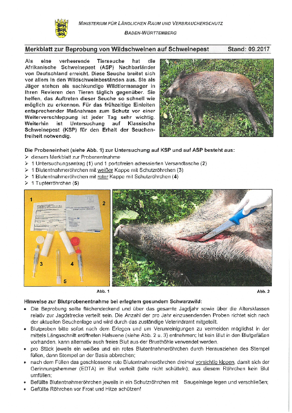 pdf-preview